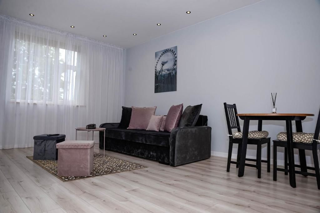 Апартаменты Klaipeda city center apartment Клайпеда